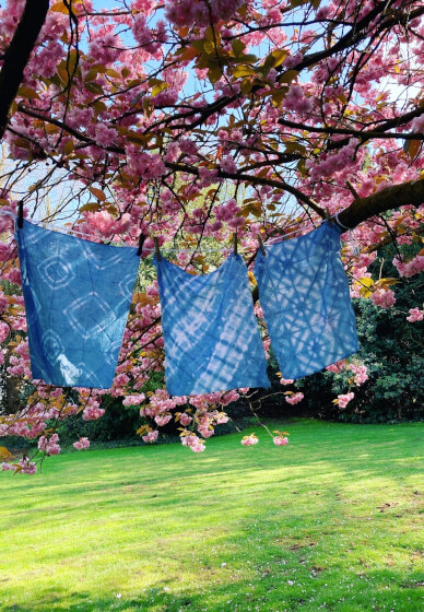 Introduction to Natural Indigo Dyeing