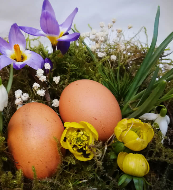 Spring / Easter Wreath Making Workshop