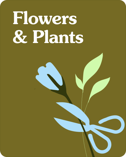 Flowers and Plants Classes London