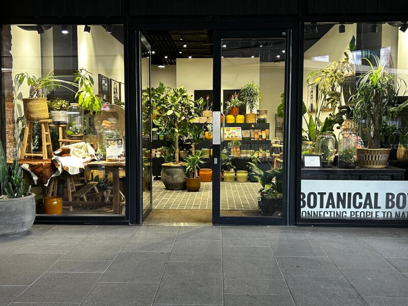 Botanical Boys Experience Store